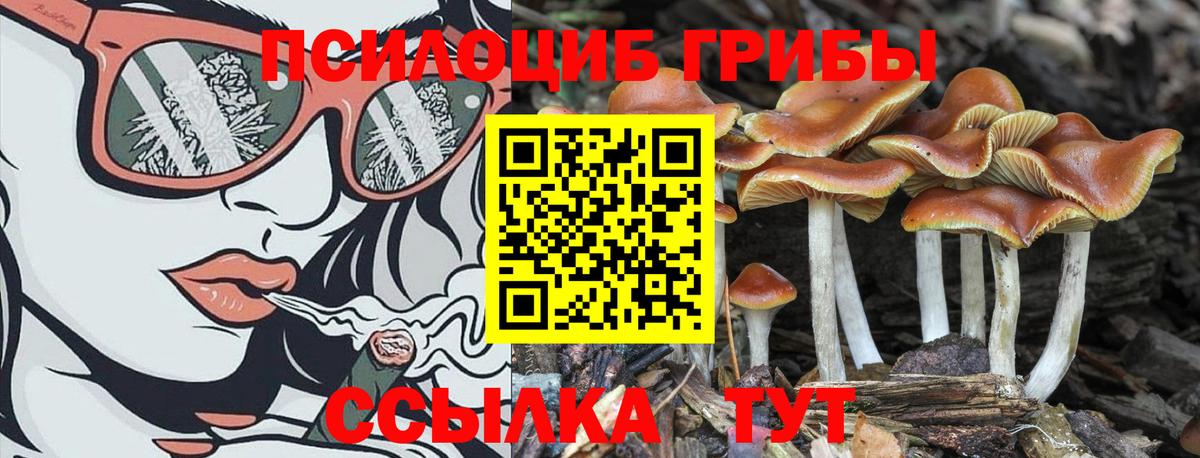 Мефедрон   A-PVP СОЛЬ кристаллы  Кодеин  Псков  ГАШИШ  Вход с VPN  Каннабис  Магазин наркотиков 