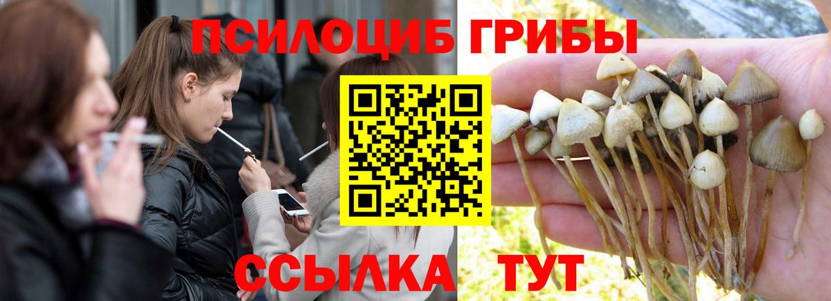 Галлюциногенные грибы MAGIC MUSHROOMS  Галлюциногенные грибы прущие грибы  Вход с VPN  Псков 
